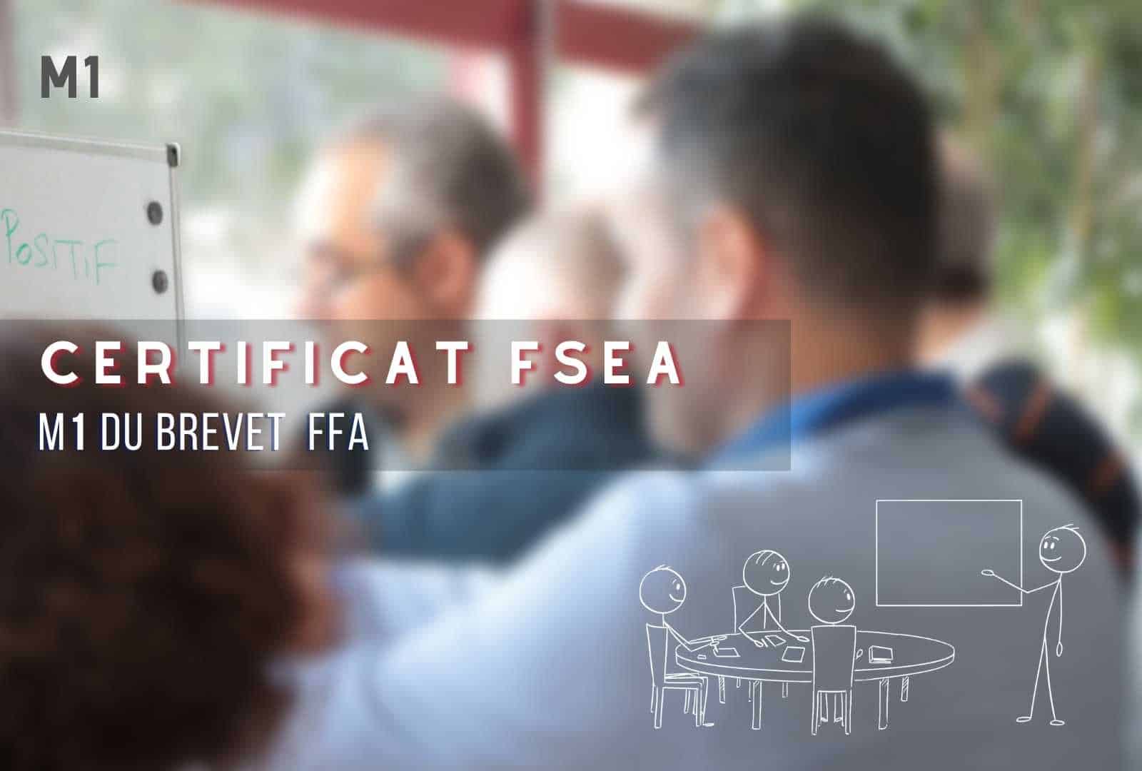 Certificat FSEA